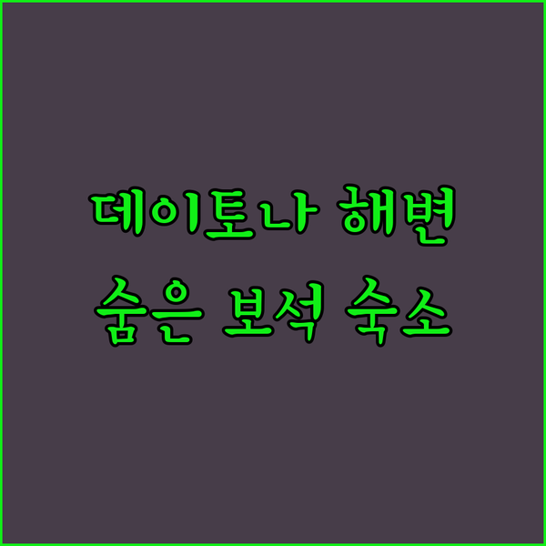 데이토나 비치의 숨겨진 보석들?! 놓