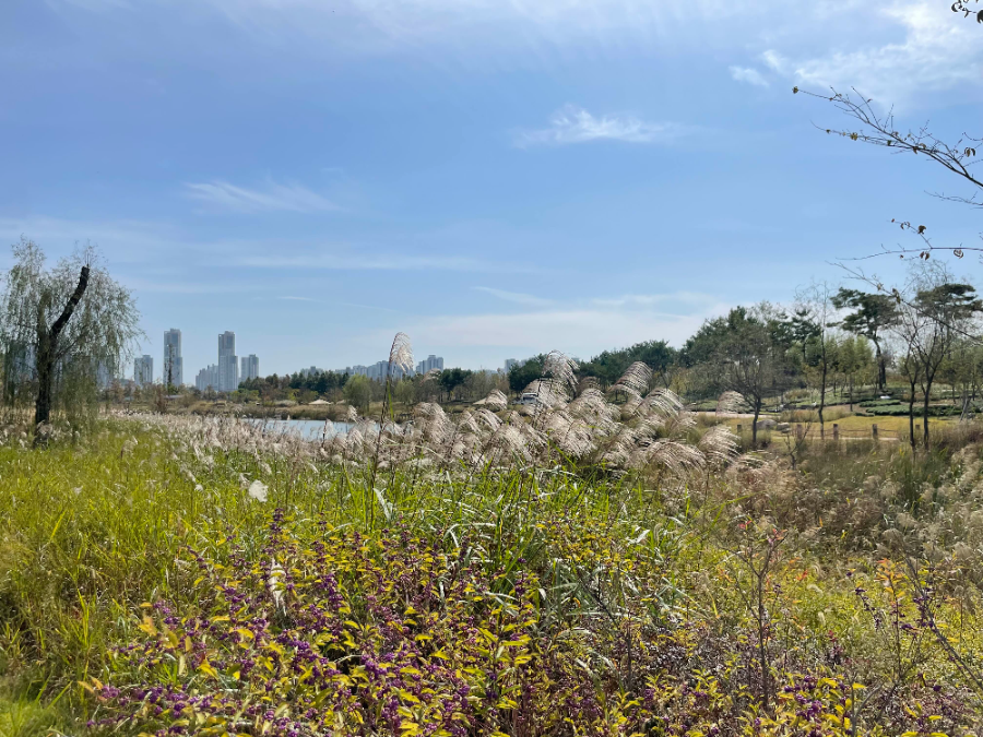 국립 세종수목원 여행