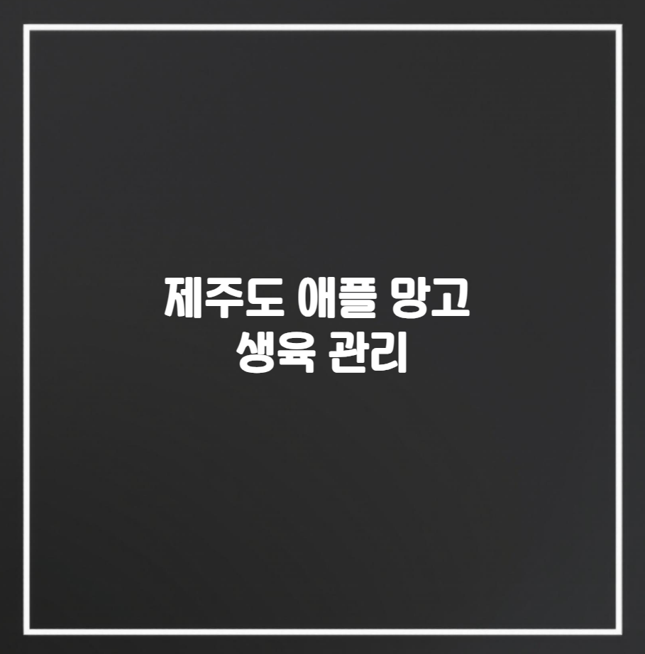 제주도 애플 망고 생육 관리