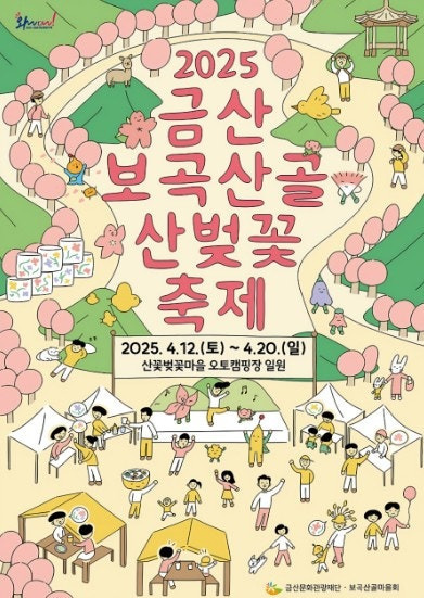 2025 금산 보곡산골 산벚꽃축제 일정 맛집 주차 꿀팁 정리