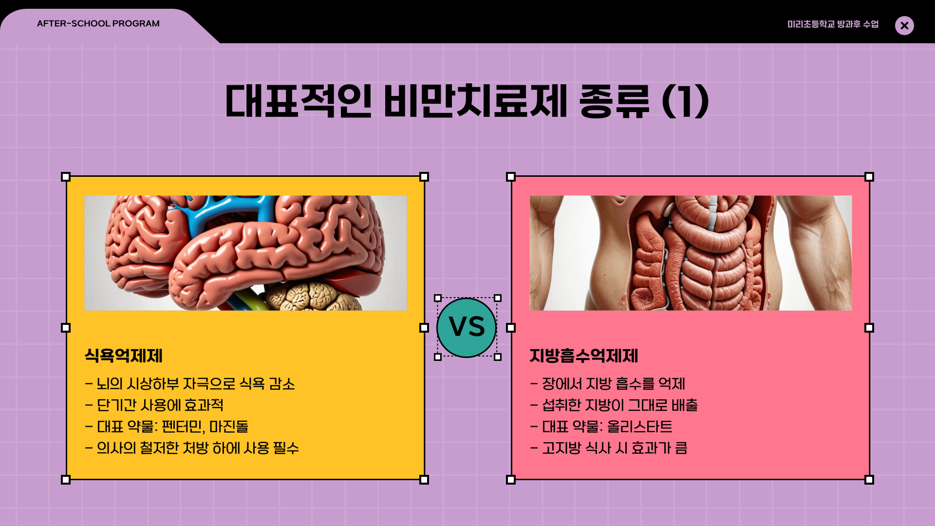 비만치료제