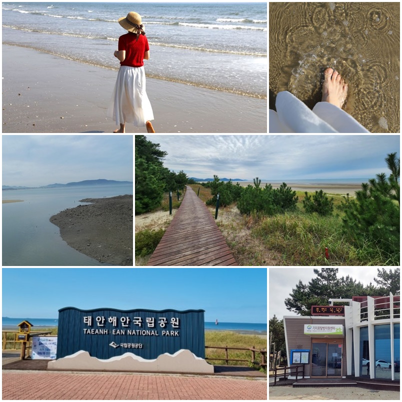태안 기지포해수욕장: 맨발로 걷는 건강한 여행