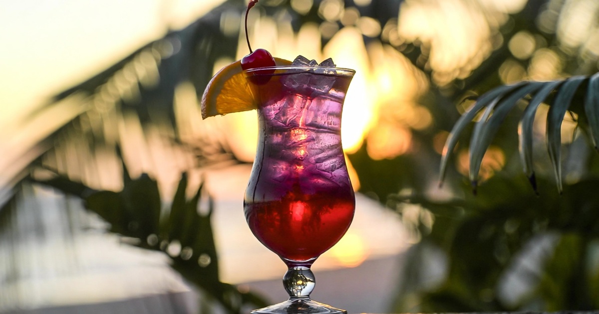 럼 러너 황금 레시피 &amp; 스토리 및 완벽한 안주 추천