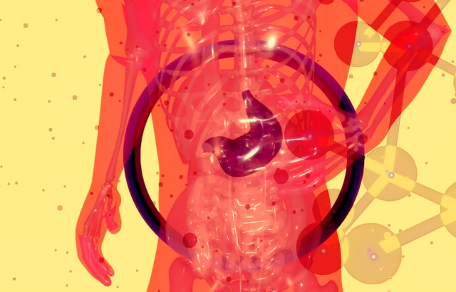 영지 버섯 차 효능 : 간 기능 회복