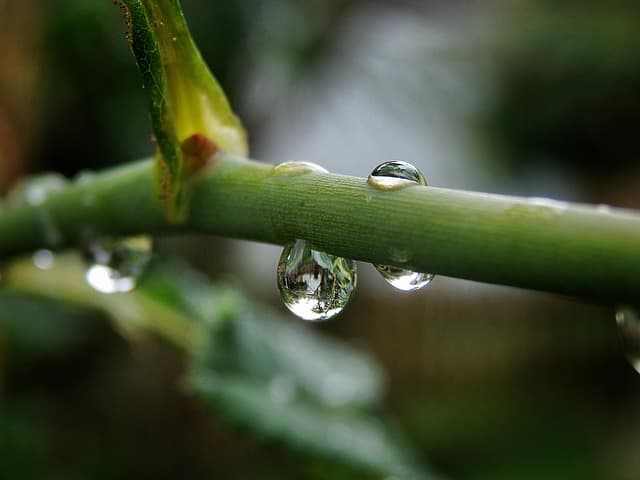 재판 중 증거 조작이 의심될 때 피고인의 실시간 대응 방법