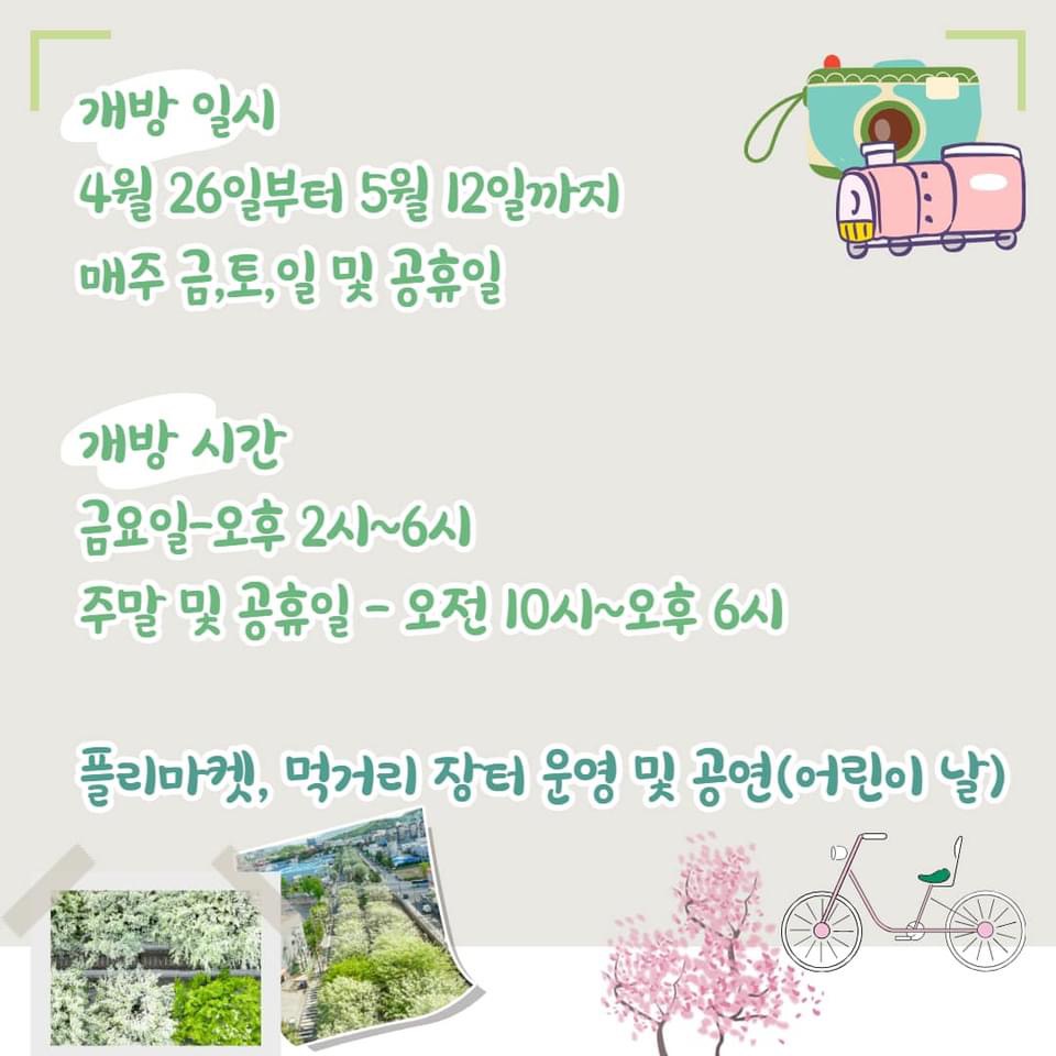 팔복동 이팝나무