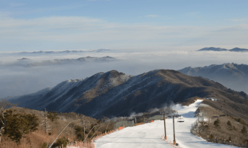 스키장 개장일정