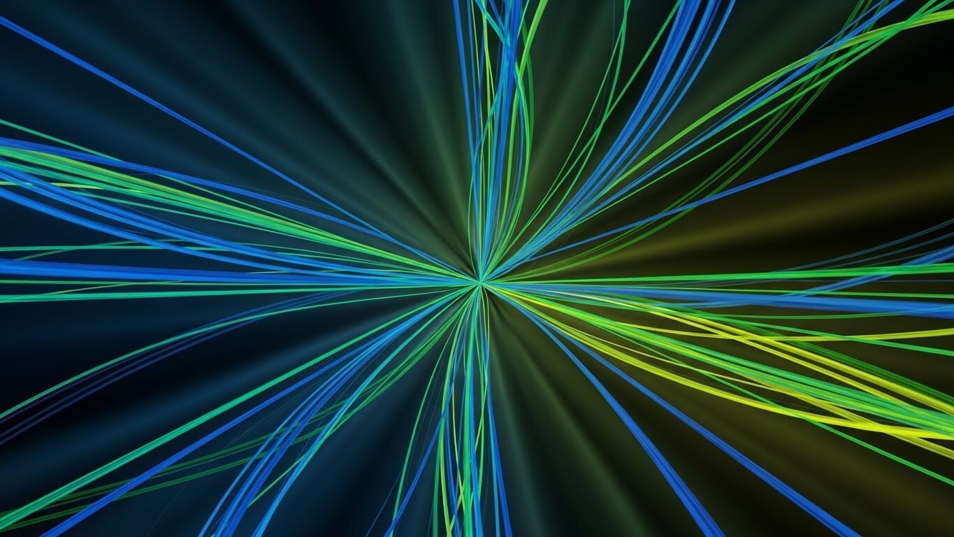 히스타민의 체내 분포 동역학과 조직별 생리학적 기능 변화