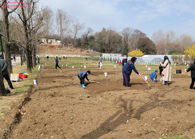 서울어린이대공원 어린이 텃밭 프로그램