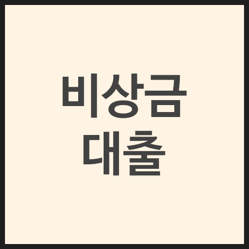 비상금대출