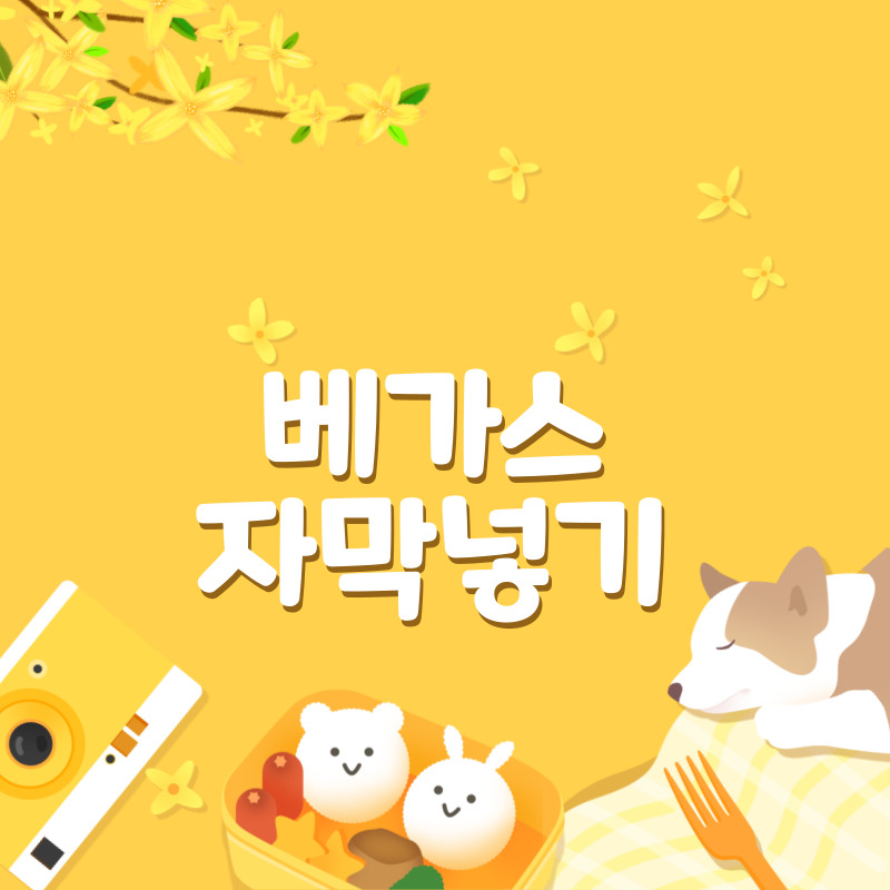 베가스 자막 넣기