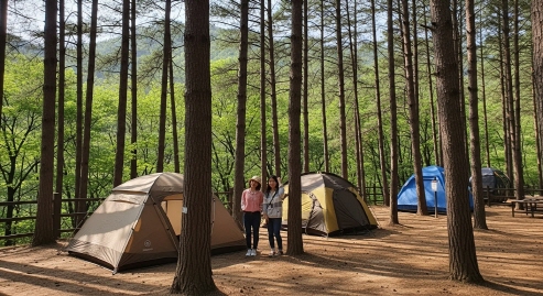 덕유산 자연휴양림의 숲길과 캠핑