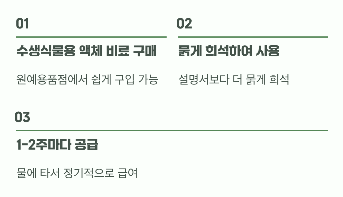 잎만 무성하다면? 영양분 공급의 비밀