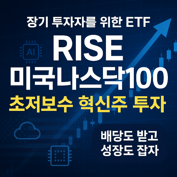 rise 미국나스닥100