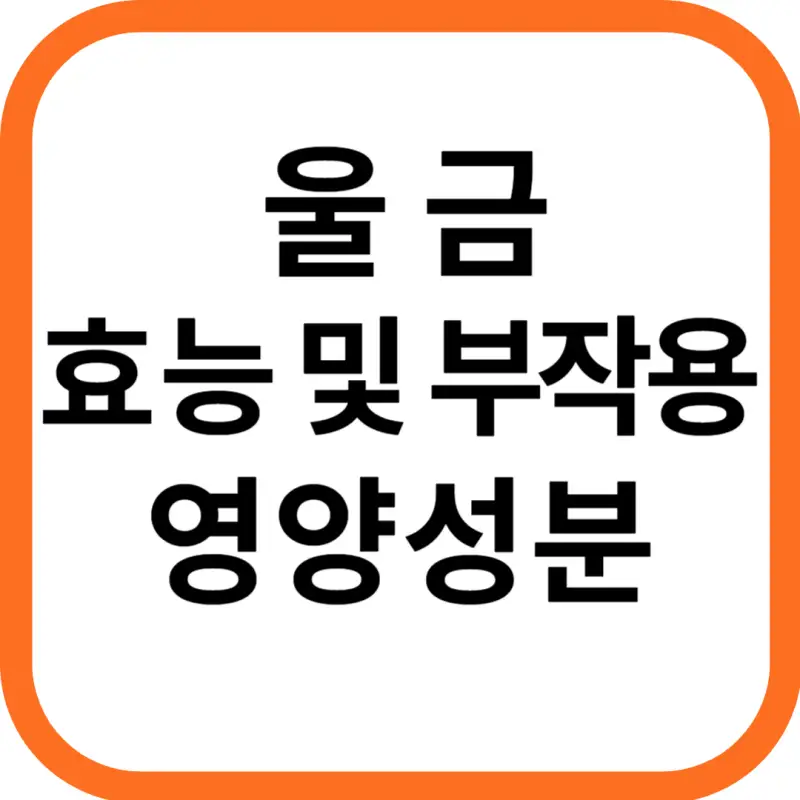 울금 효능 및 영양성분&#44; 부작용과 주의점