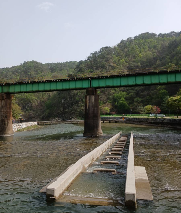 삼산천이 흐르다