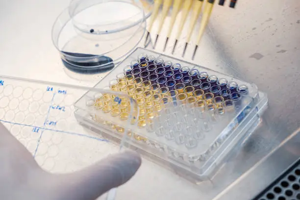 바이오 관련주 수혜주