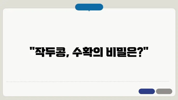 작두콩 수확 시기