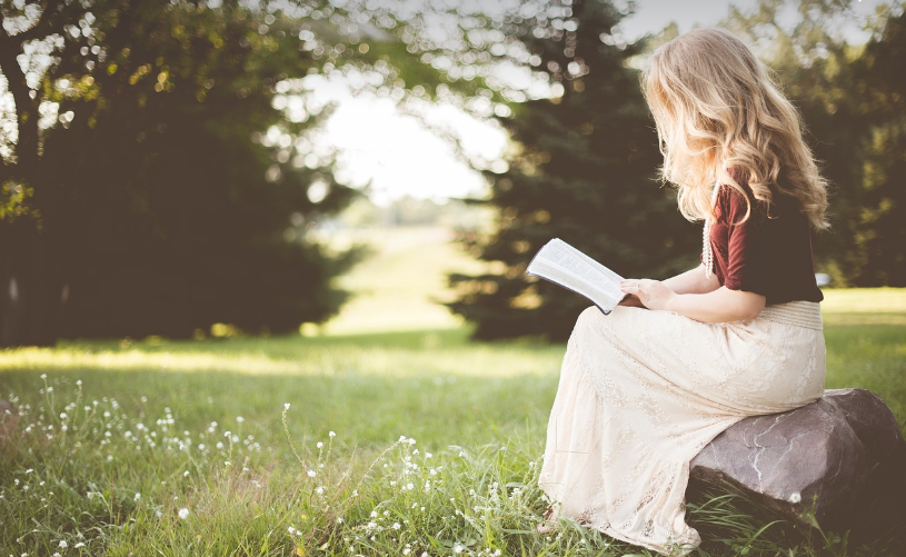 2025년 독서하기 좋은 장소 추천 5가지｜집중력과 힐링을 동시에 잡는 독서 명소