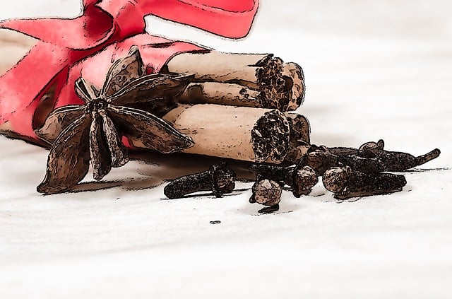 향신료의 종교적 역할( 제사, 의식, 치유 )