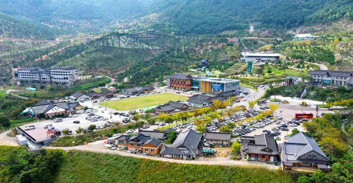 동의보감촌 꽃양귀비 축제 개화 시기와 볼거리_9