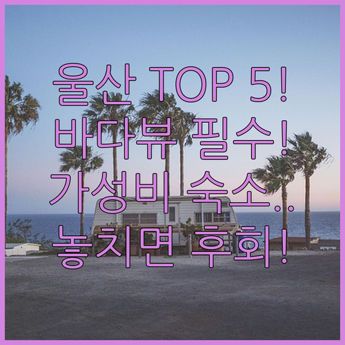 울산 펜션 호텔 TOP 5 바다뷰 가..