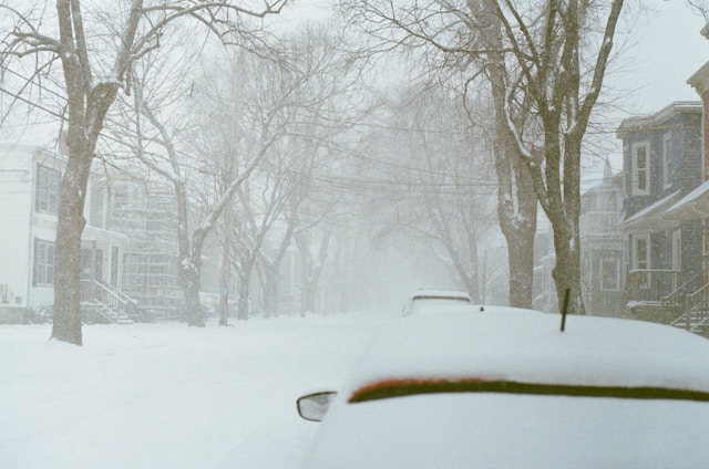 대설특보 공무원 출근시간 10시 조정 대상 총정리