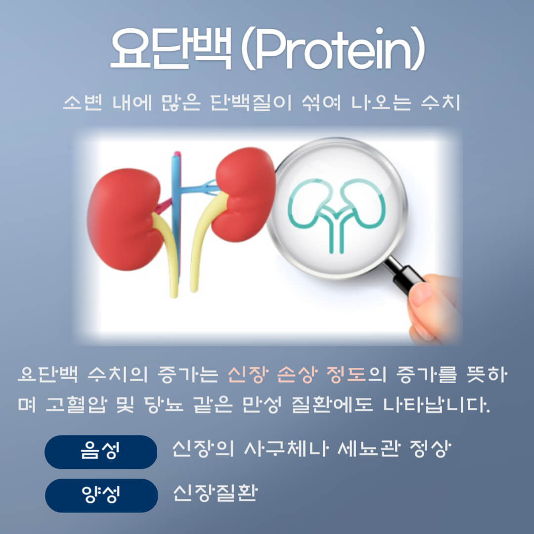 요단백