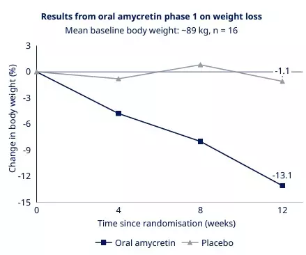 노보 노디스크 투자자회의 발표 자료