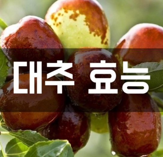 대추-효능