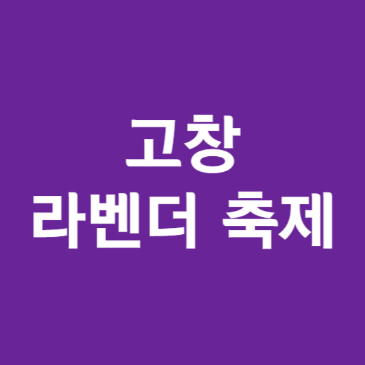 고창 라벤더 축제