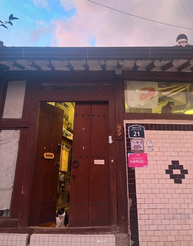 책보냥