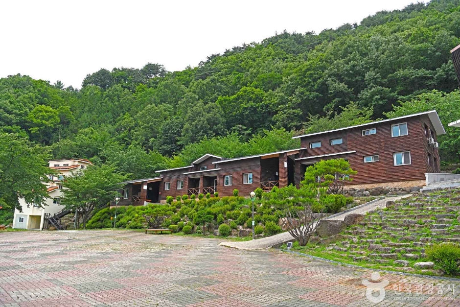 영동 가볼만한곳 베스트10