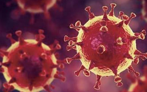 헤르페스 2형 바이러스 원인