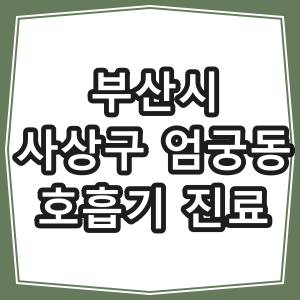 부산시 사상구 엄궁동 호흡기 내과 진료 동네 병원