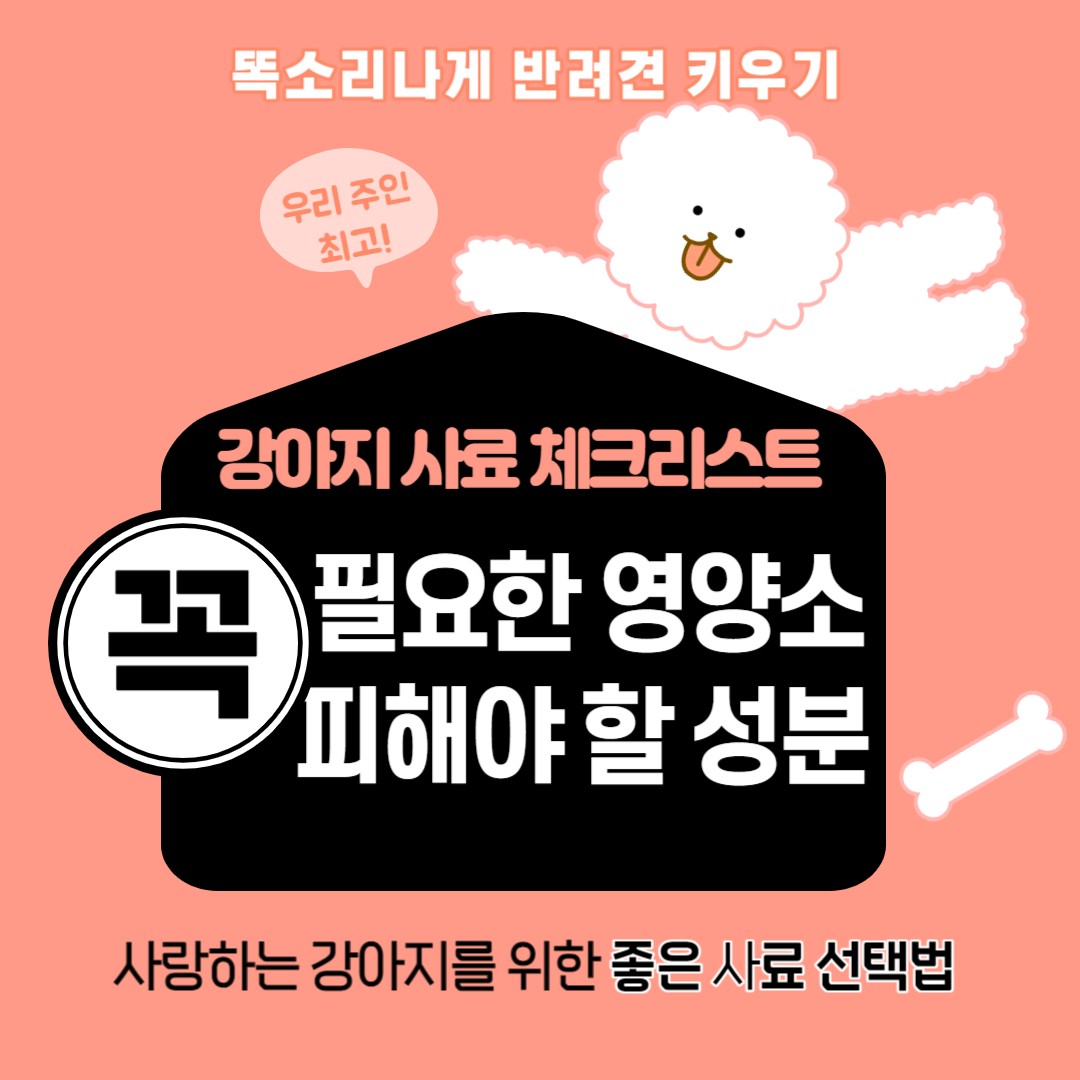 좋은 강아지 사료 선택하는 방법