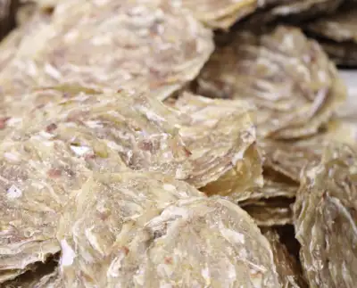 쥐포 가격 및 효능, 영양성분