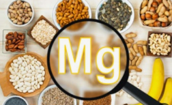 부모님 영양제 추천 영양소 마그네슘