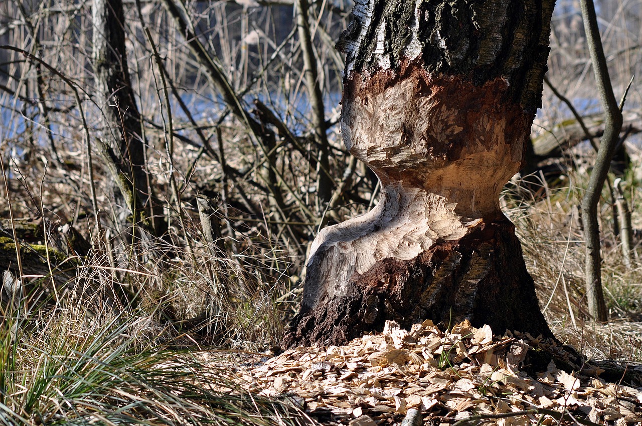 결정을 미루는 사람의 &lsquo;손해 회피 구조&rsquo;