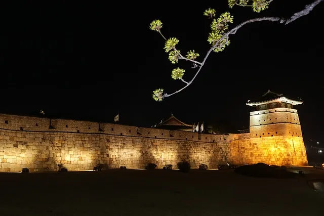 공심채 재배 여름 재배 물 충분 배수 필수_4