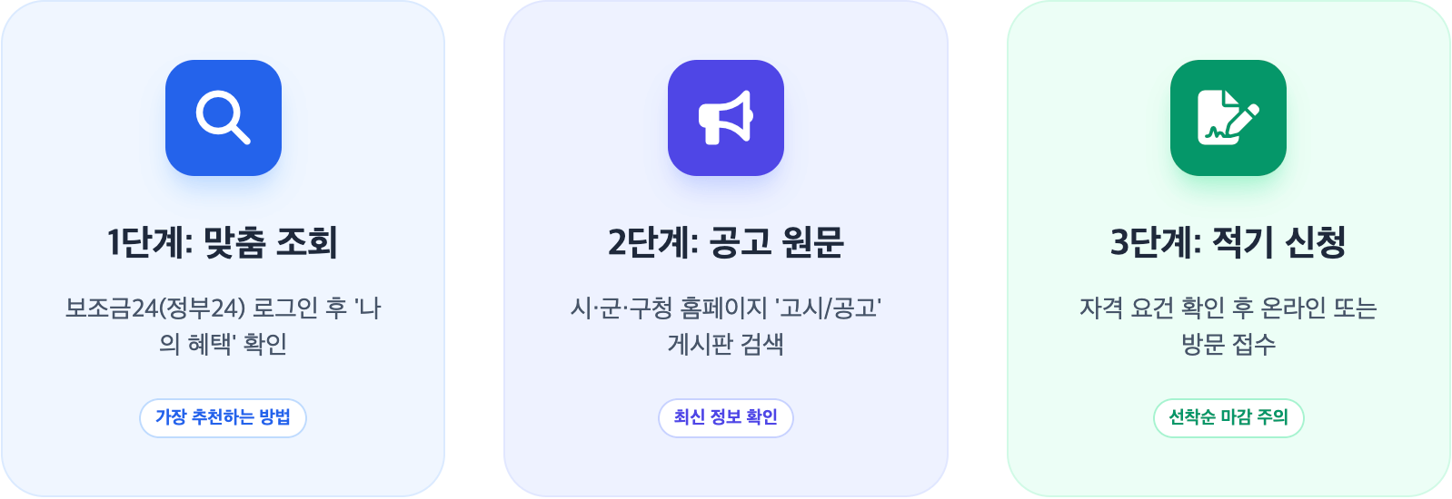 지방보조금 확인 로드맵 설명