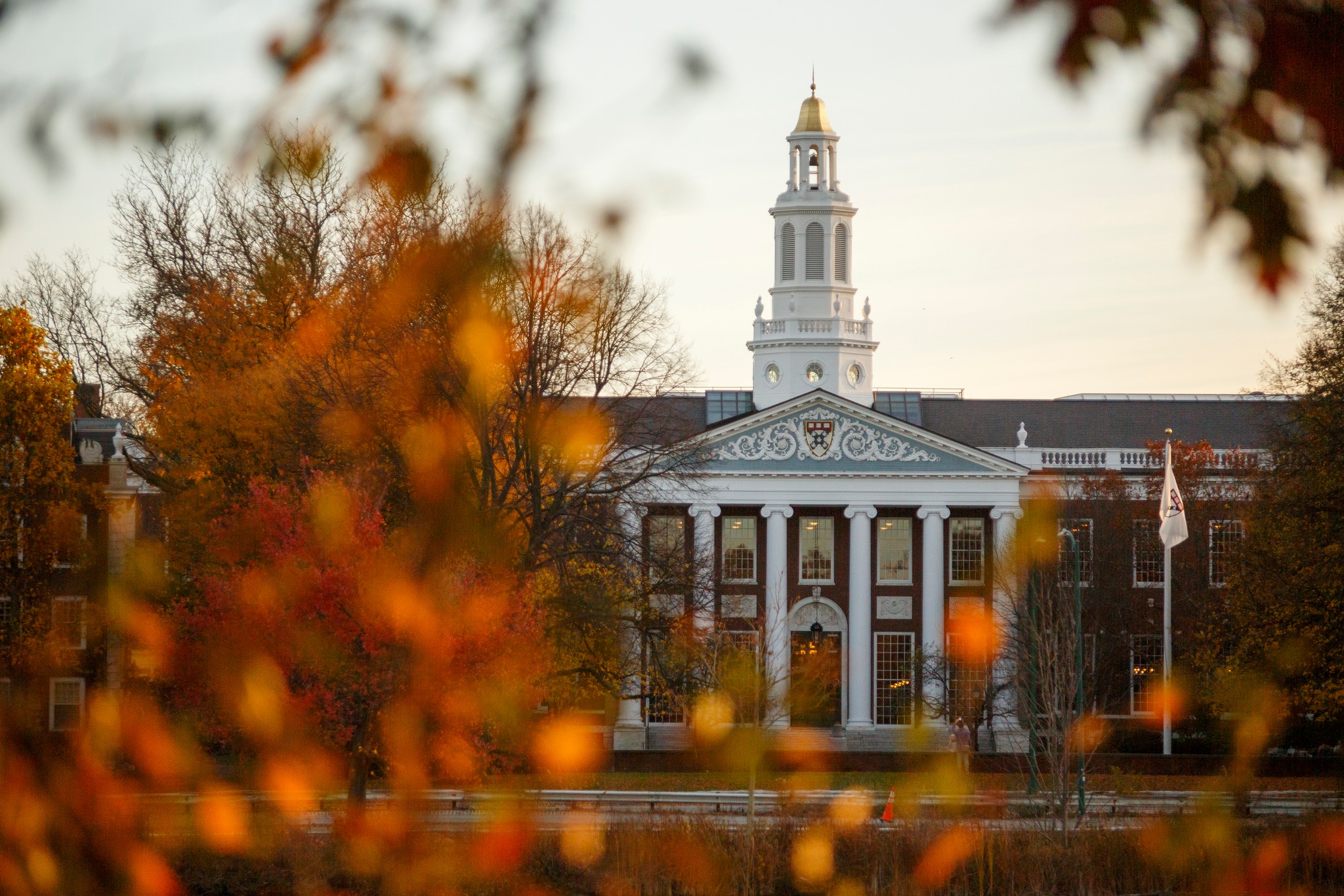 QS세계대학 하버드 HarvardUniversity 하버드야드 존하버드