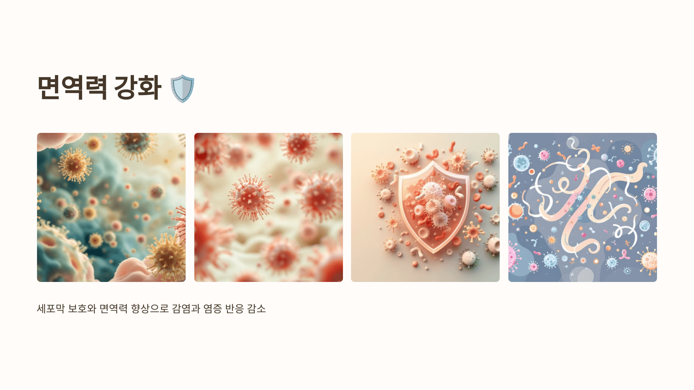 오메가3와 관련된 사진입니다.