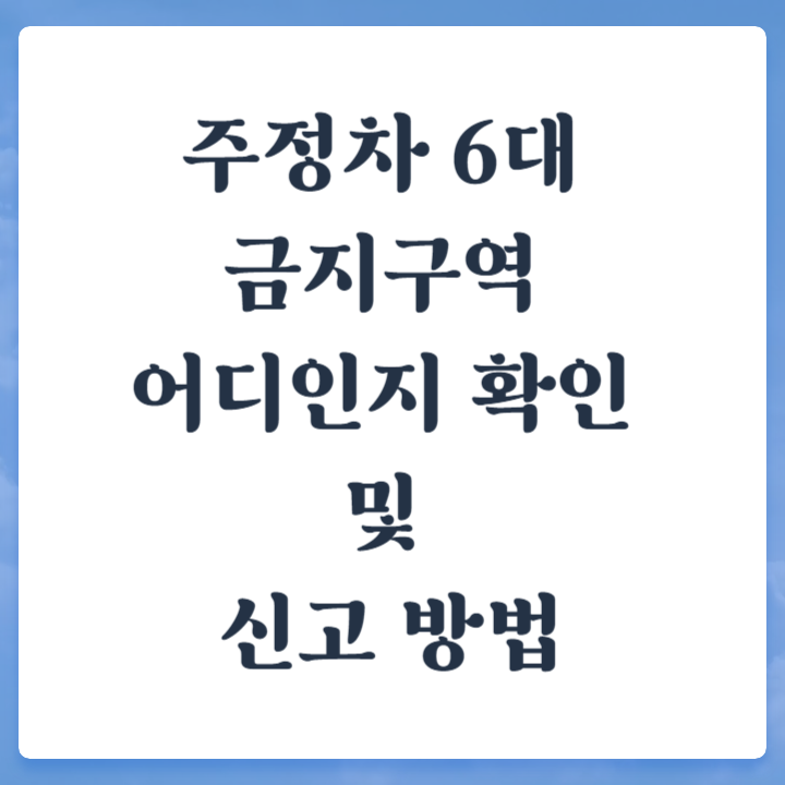 주정차 6대 금지 구역