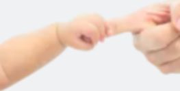 교육급여 기초생활보장제도