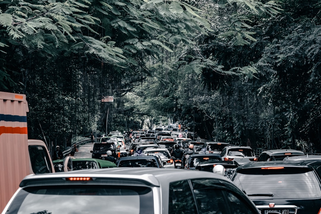 congestion