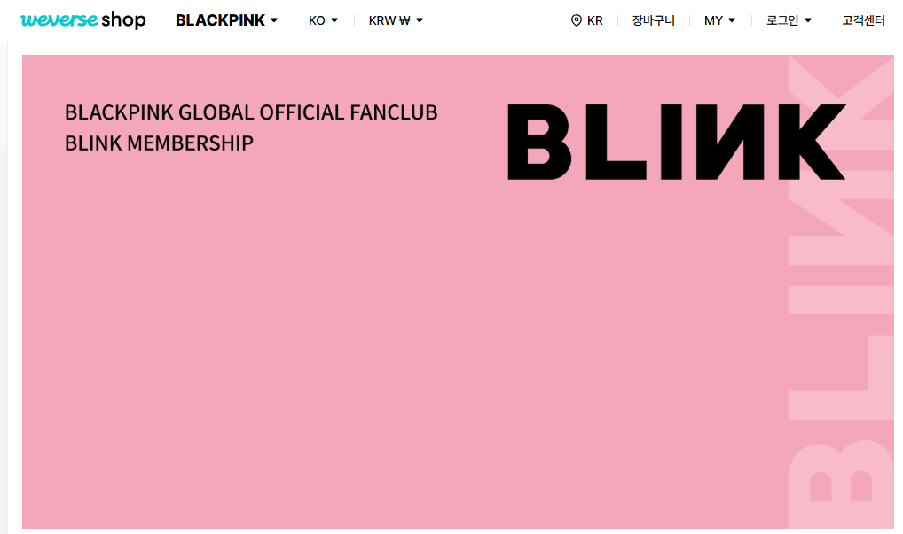 블랙핑크 콘서트