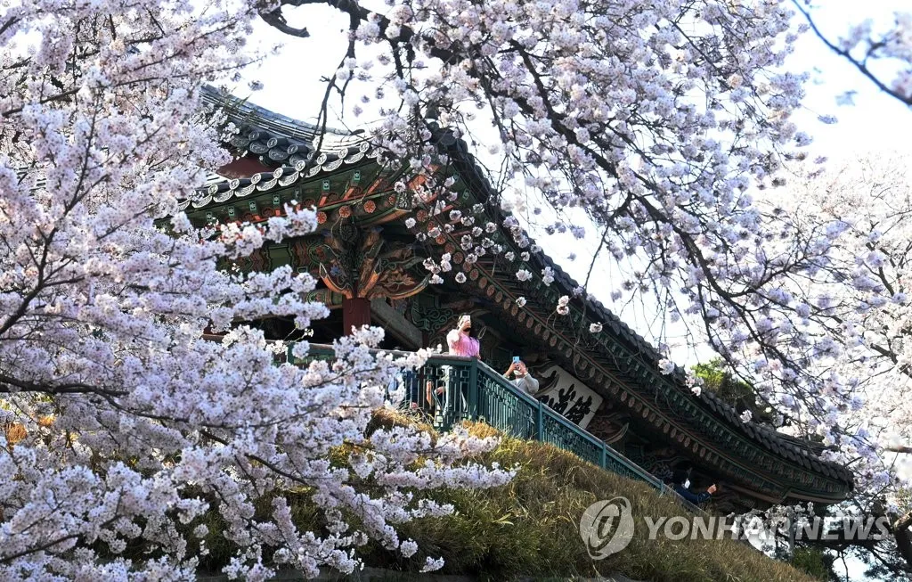 경포대 해수욕장 여름 물놀이 여행지와 맛집 코스 정리_5