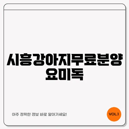 시흥강아지무료분양 요미독