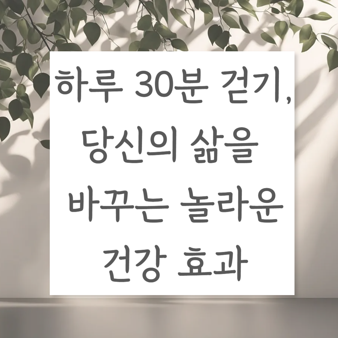 하루 30분 걷기, 당신의 삶을 바꾸는 놀라운 건강 효과